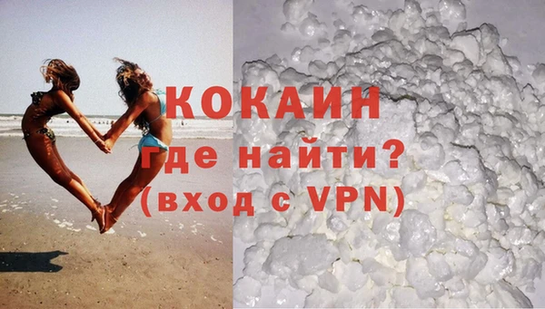 индика Баксан
