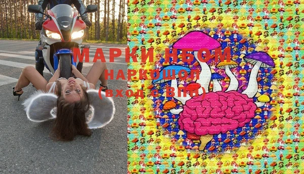 молекула духа Михайлов