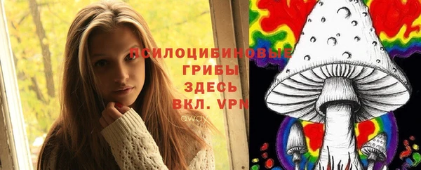 эйфоретик Балахна