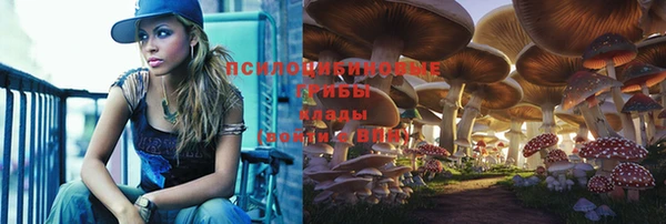 индика Баксан