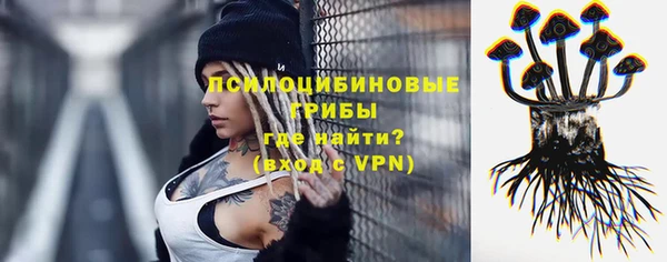 амф Белокуриха